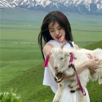 狮心王理查德